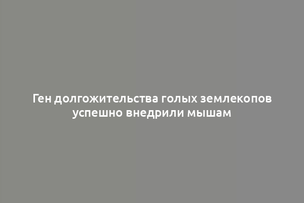 Ген долгожительства голых землекопов успешно внедрили мышам